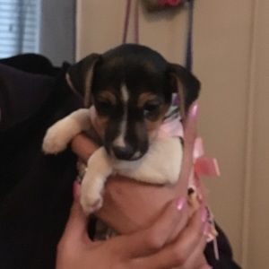 Meet your Posher, Gabrielle